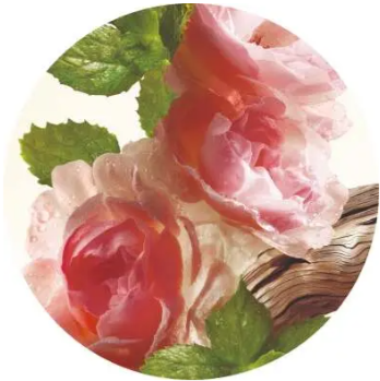 Фото растительного компонента