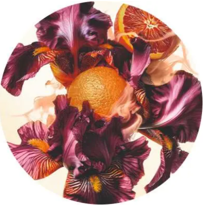 Фото растительного компонента