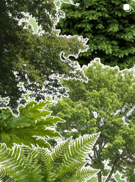 Подписывайтесь на Ив Роше Беларусь в Instagram