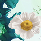 Уход для чувствительной кожи Yves Rocher