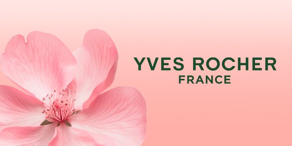 Изображение сертификата