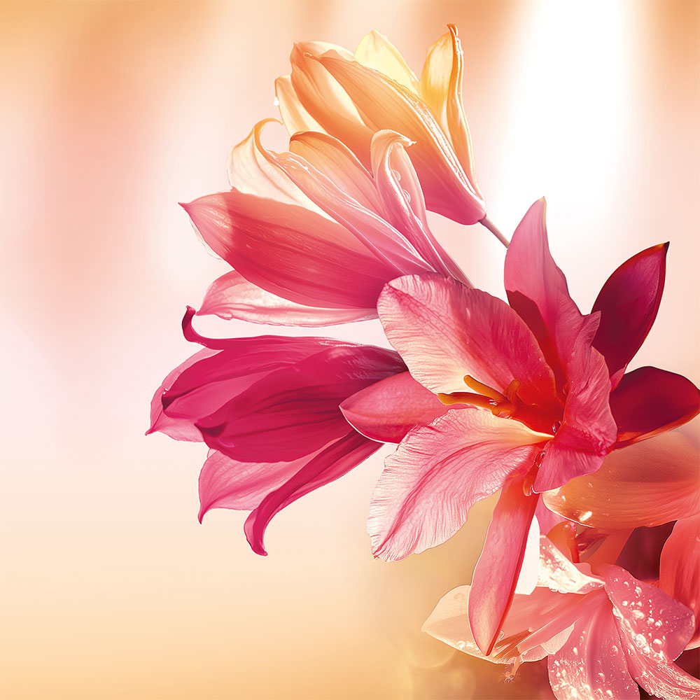 Парфюмерная вода "Plein Soleil"