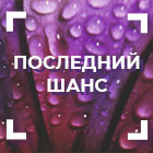 Последний шанс