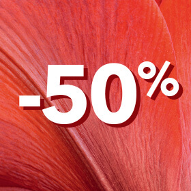 Скидка -50%